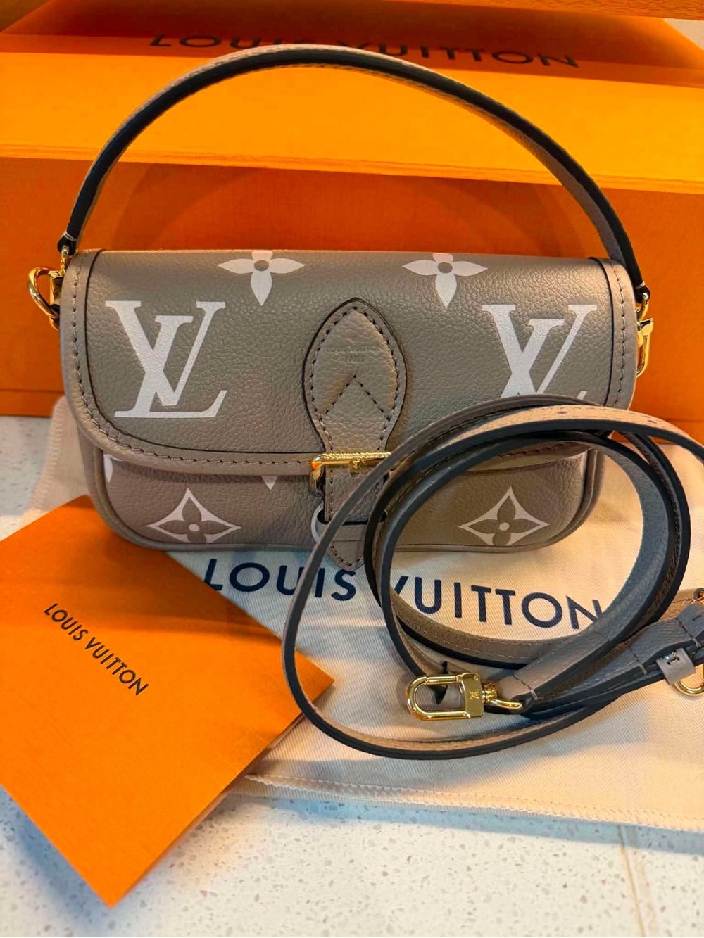 2025 Louis Vuitton Monogram Bicolor Nano Diane